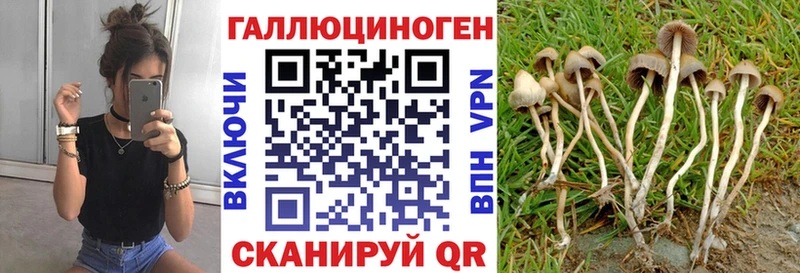 Псилоцибиновые грибы мухоморы  Серпухов 
